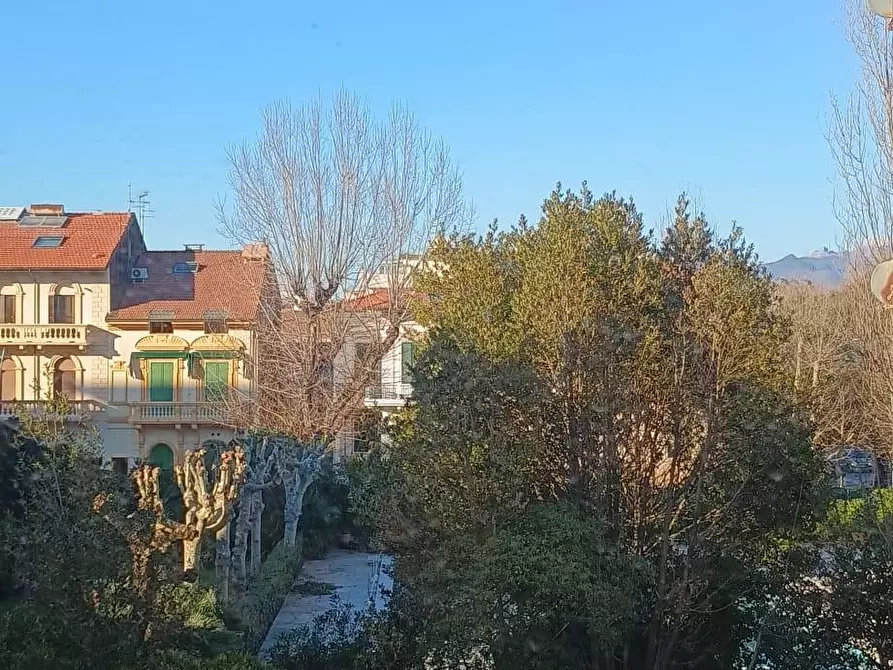 Immagine 39 di Appartamento in vendita  a Viareggio