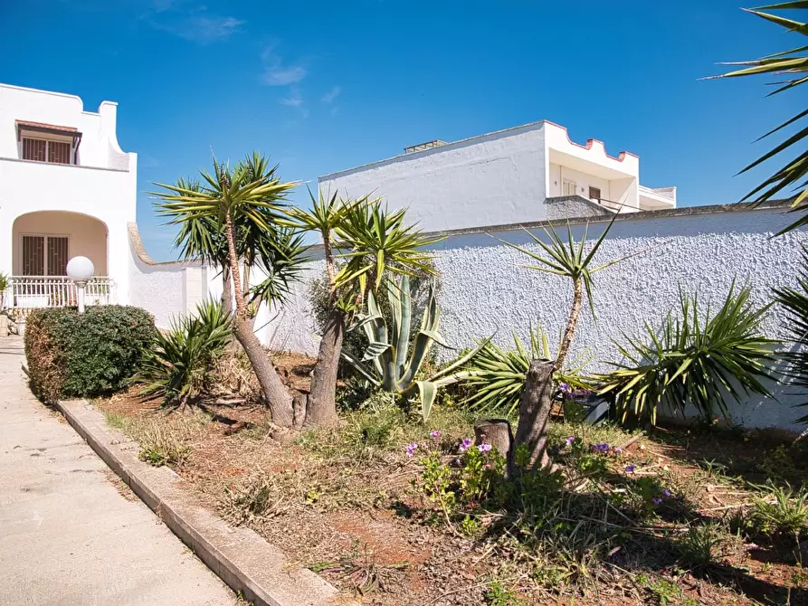 Immagine 18 di Villa in vendita  a Porto Cesareo