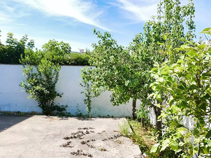 Immagine 26 di Villa in vendita  a Porto Cesareo