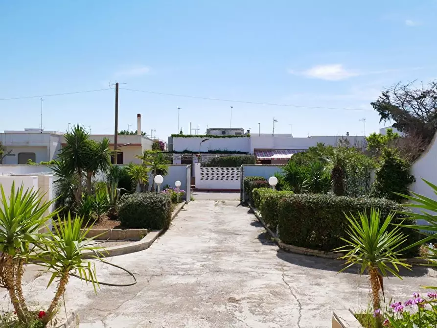 Immagine 4 di Villa in vendita  a Porto Cesareo