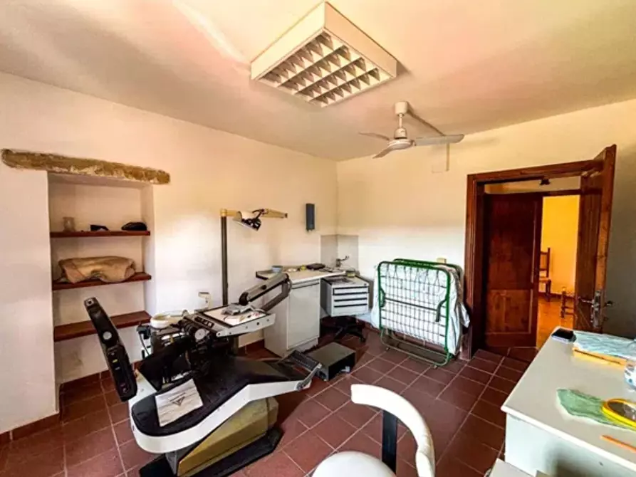 Immagine 7 di Appartamento in vendita  a Montescudaio