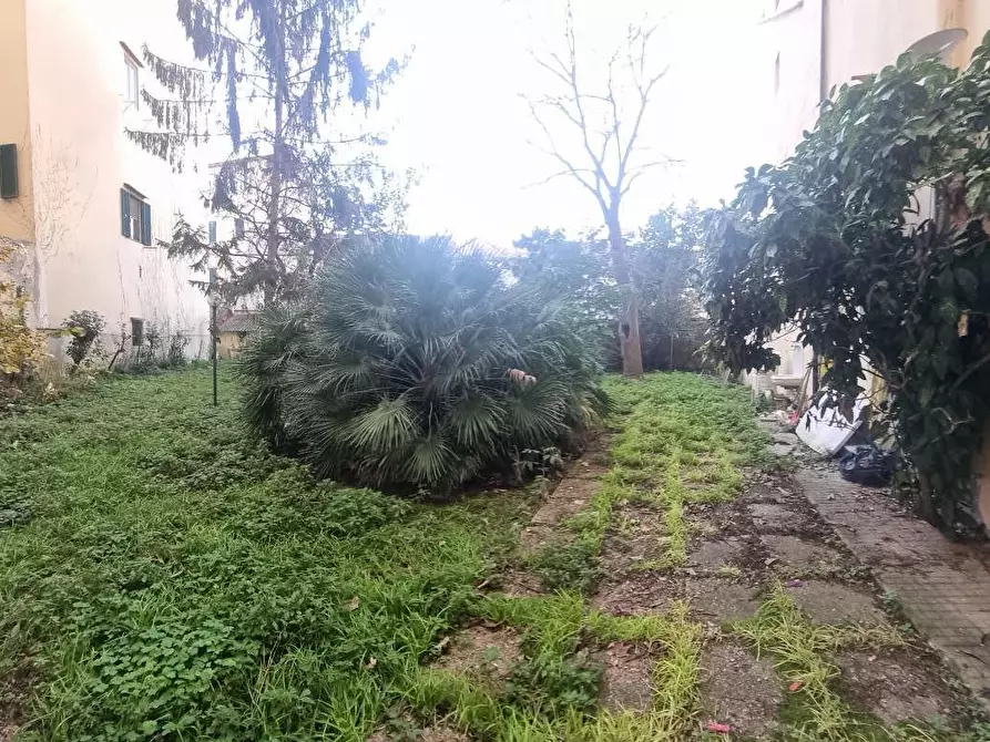 Immagine 41 di Appartamento in vendita  a Livorno