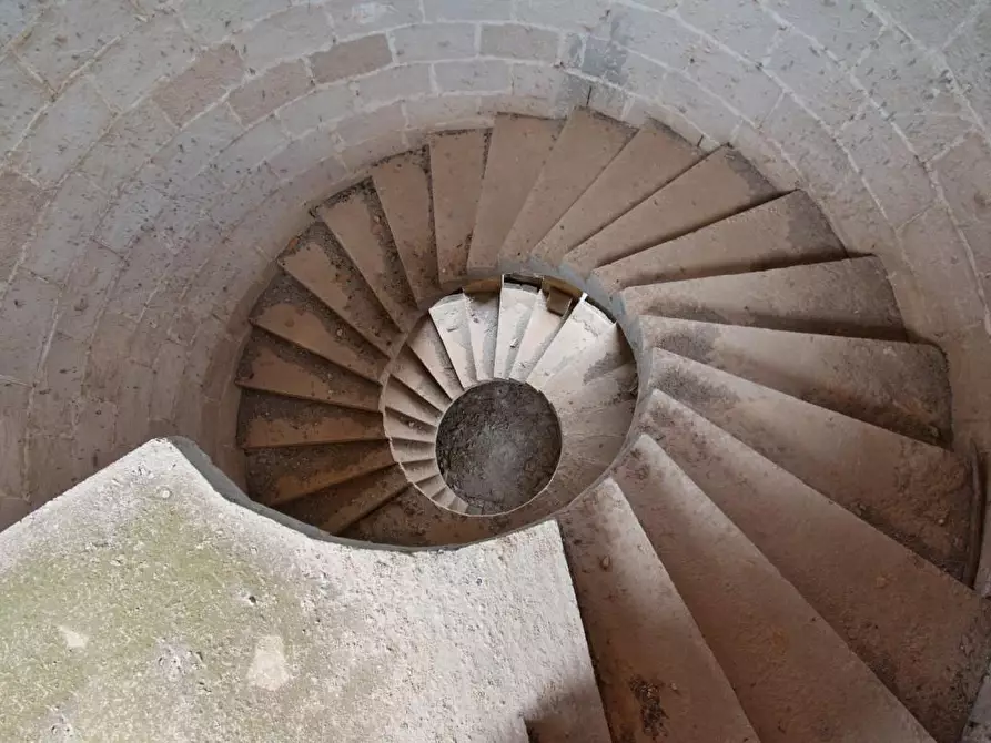 Immagine 6 di Rustico / casale in vendita  a Nardo'