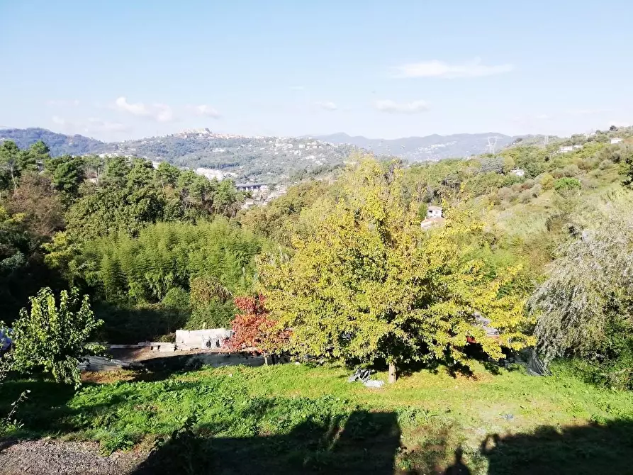 Immagine 21 di Casa trifamiliare in vendita  a Arcola