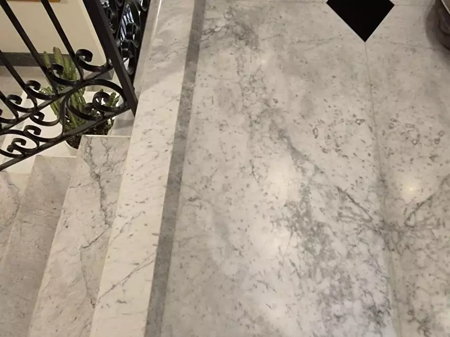 Immagine 5 di Villa in vendita  a Viareggio