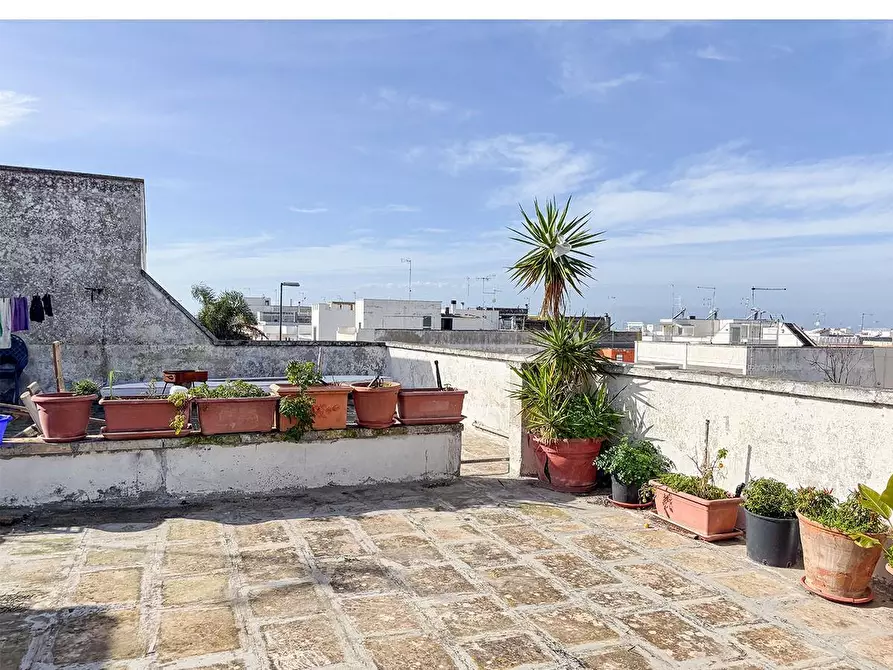 Immagine 52 di Appartamento in vendita  a Porto Cesareo