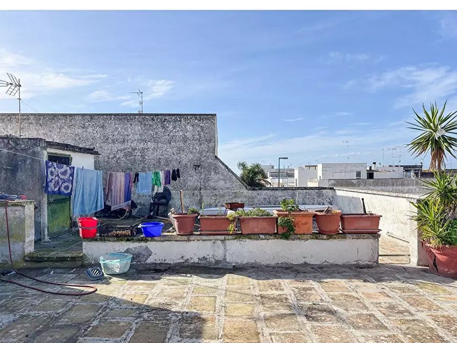 Immagine 53 di Appartamento in vendita  a Porto Cesareo