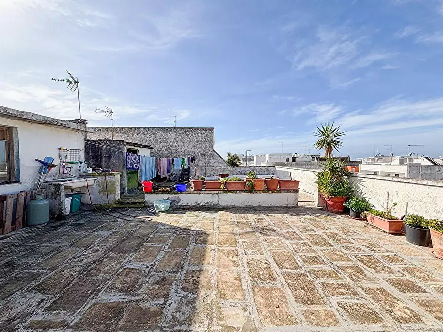 Immagine 54 di Appartamento in vendita  a Porto Cesareo