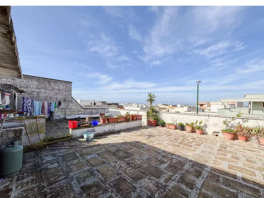 Immagine 50 di Appartamento in vendita  a Porto Cesareo