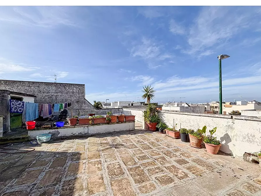 Immagine 51 di Appartamento in vendita  a Porto Cesareo