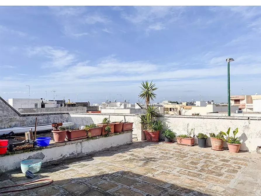 Immagine 49 di Appartamento in vendita  a Porto Cesareo