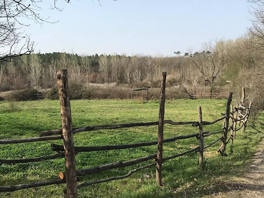 Immagine 9 di Terreno agricolo in vendita  a Fucecchio