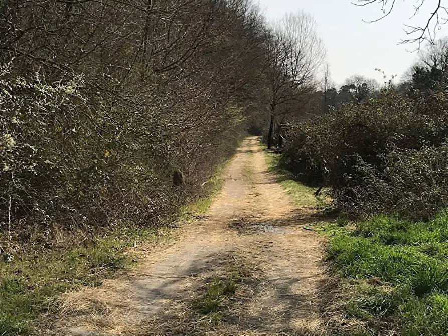 Immagine 10 di Terreno agricolo in vendita  a Fucecchio