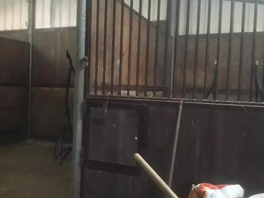 Immagine 4 di Terreno agricolo in vendita  a Fucecchio