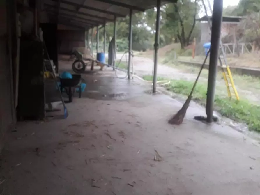 Immagine 3 di Terreno agricolo in vendita  a Fucecchio