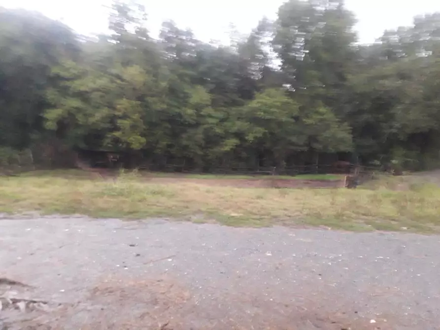 Immagine 8 di Terreno agricolo in vendita  a Fucecchio