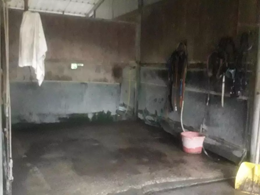 Immagine 6 di Terreno agricolo in vendita  a Fucecchio