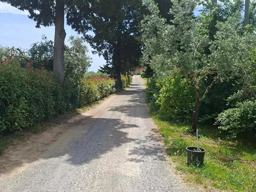 Immagine 18 di Terratetto in vendita  a Gambassi Terme