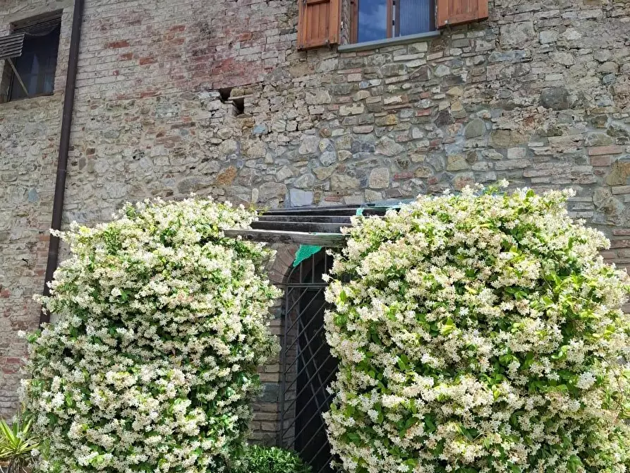 Immagine 1 di Terratetto in vendita  a Gambassi Terme