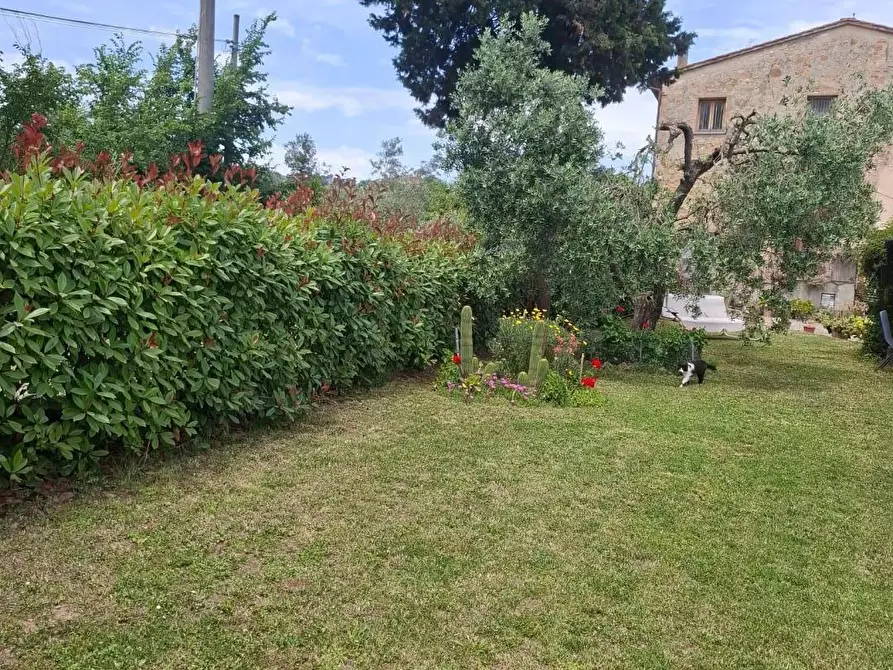 Immagine 17 di Terratetto in vendita  a Gambassi Terme