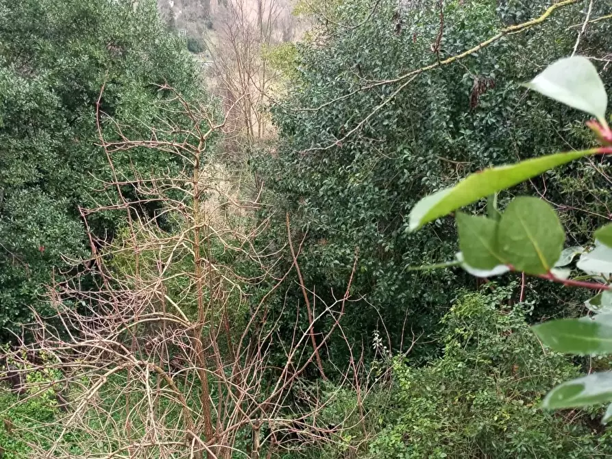 Immagine 31 di Terratetto in vendita  a San Miniato