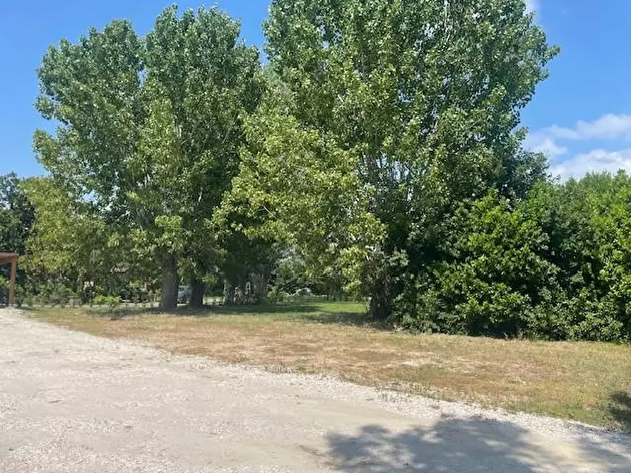 Immagine 26 di Villa in vendita  a San Giuliano Terme