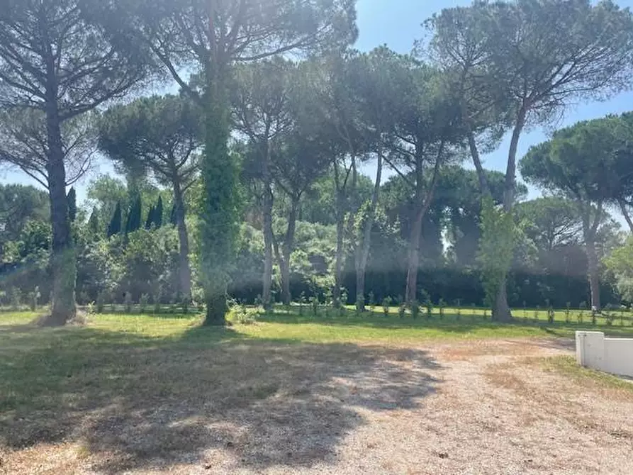 Immagine 27 di Villa in vendita  a San Giuliano Terme