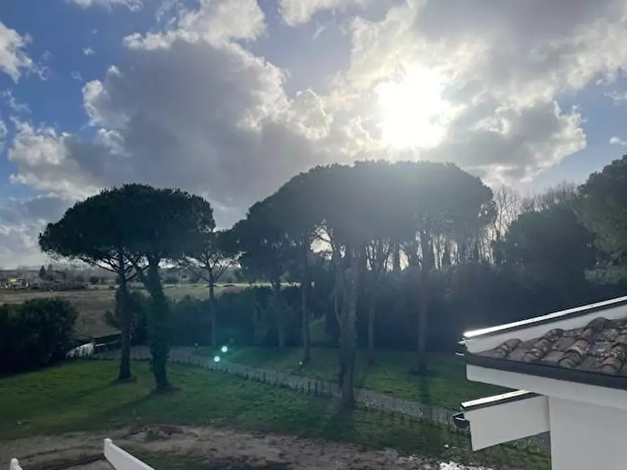 Immagine 3 di Villa in vendita  a San Giuliano Terme