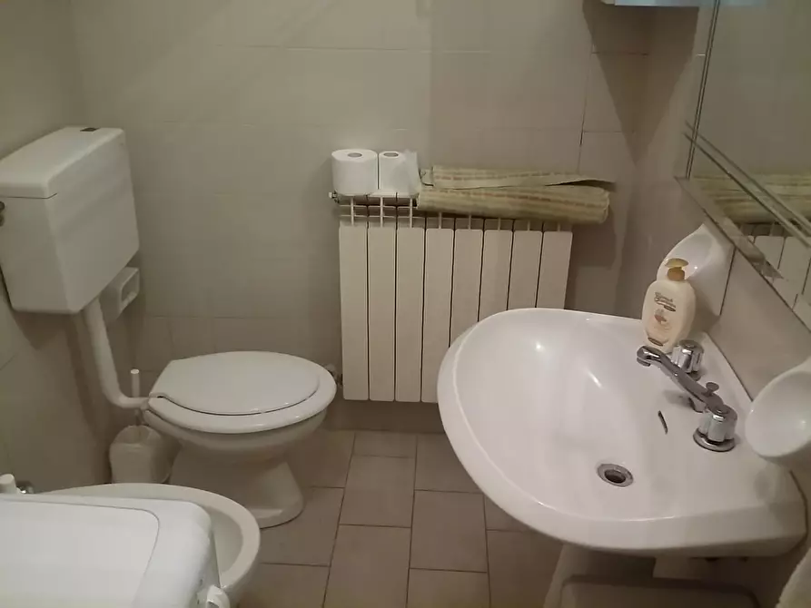 Immagine 11 di Appartamento in vendita  a Pievepelago