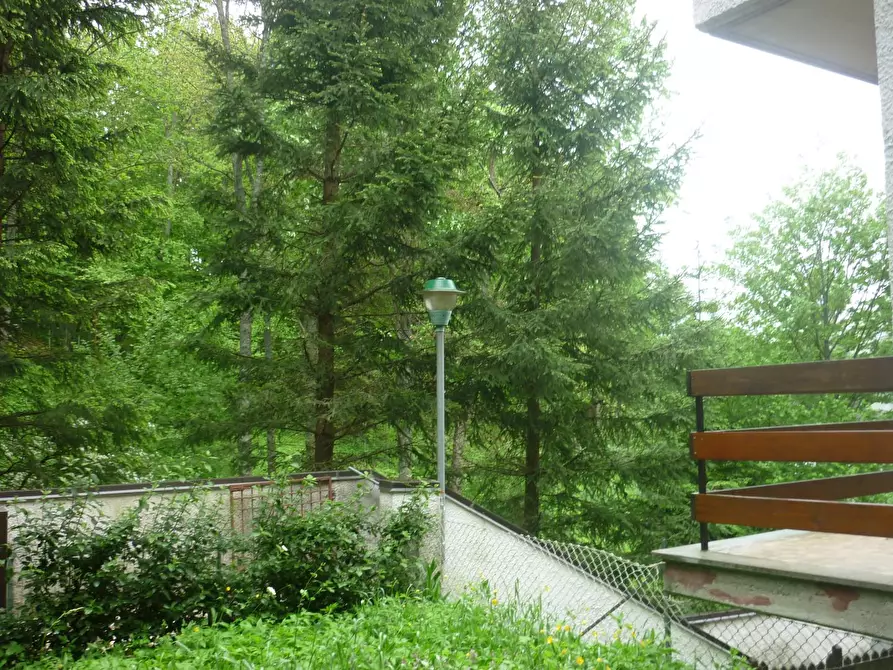Immagine 25 di Appartamento in vendita  a Pievepelago
