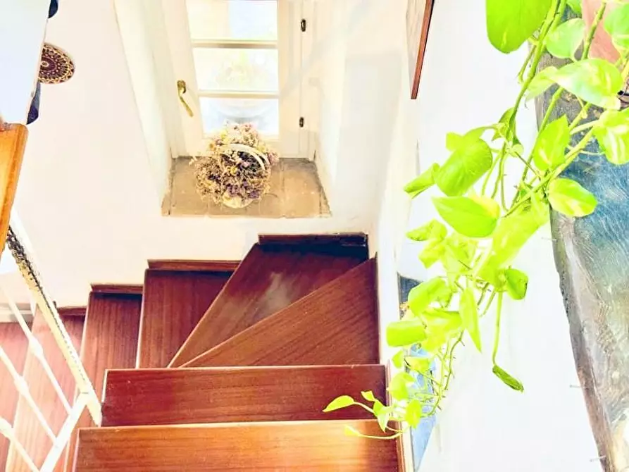 Immagine 21 di Terratetto in vendita  a Pietrasanta