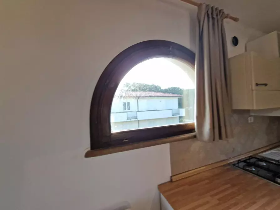 Immagine 21 di Appartamento in vendita  a Rosignano Marittimo