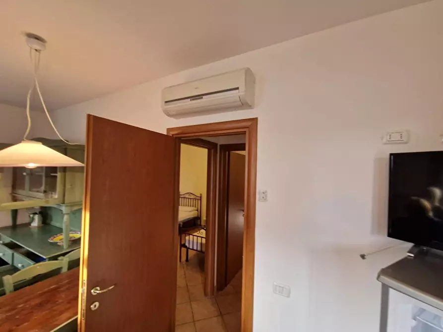 Immagine 18 di Appartamento in vendita  a Rosignano Marittimo