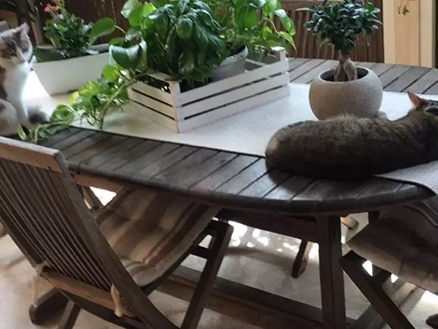 Immagine 10 di Villetta a schiera in vendita  a Porcari