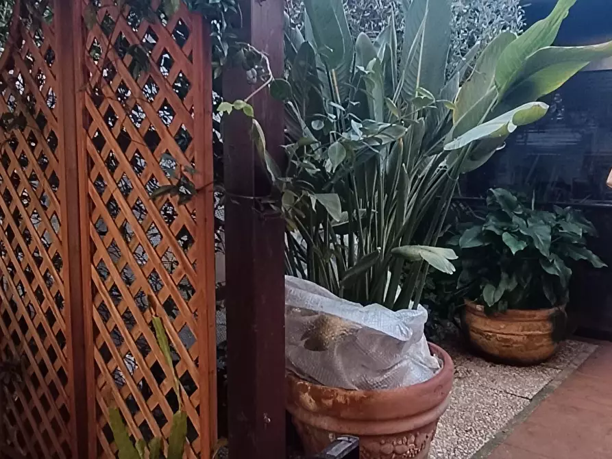 Immagine 32 di Villetta a schiera in vendita  a Carrara