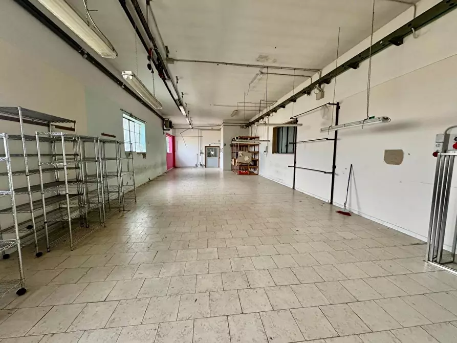 Immagine 35 di Attività artigianale in vendita  a Santa Maria A Monte