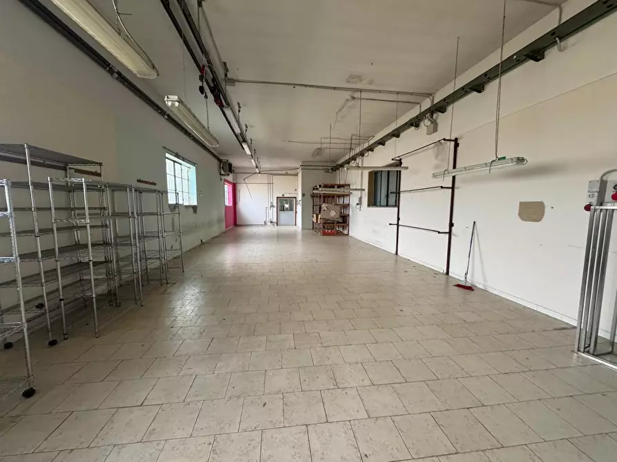 Immagine 51 di Attività artigianale in vendita  a Santa Maria A Monte