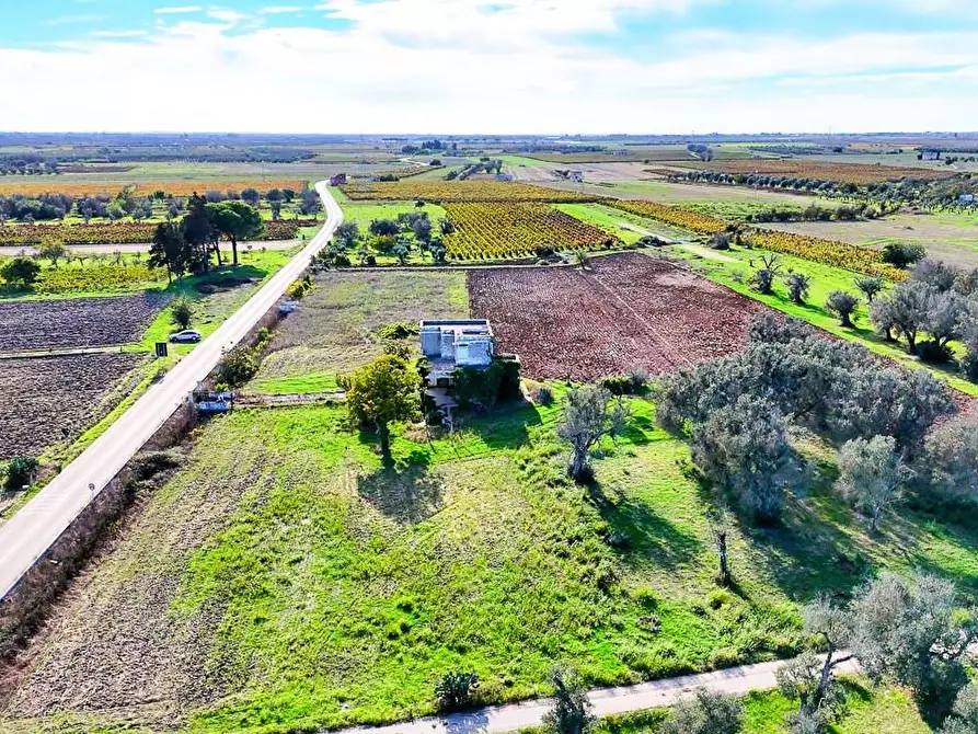 Immagine 20 di Casa indipendente in vendita  a Campi Salentina