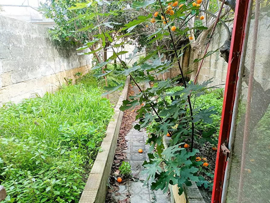 Immagine 23 di Casa semindipendente in vendita  a Lizzanello
