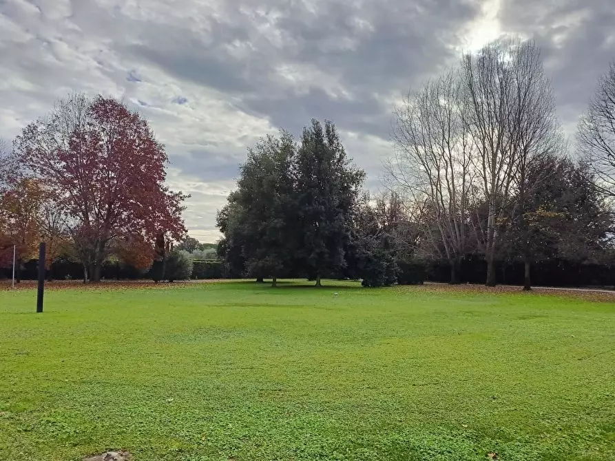 Immagine 2 di Villa in vendita  a Pietrasanta