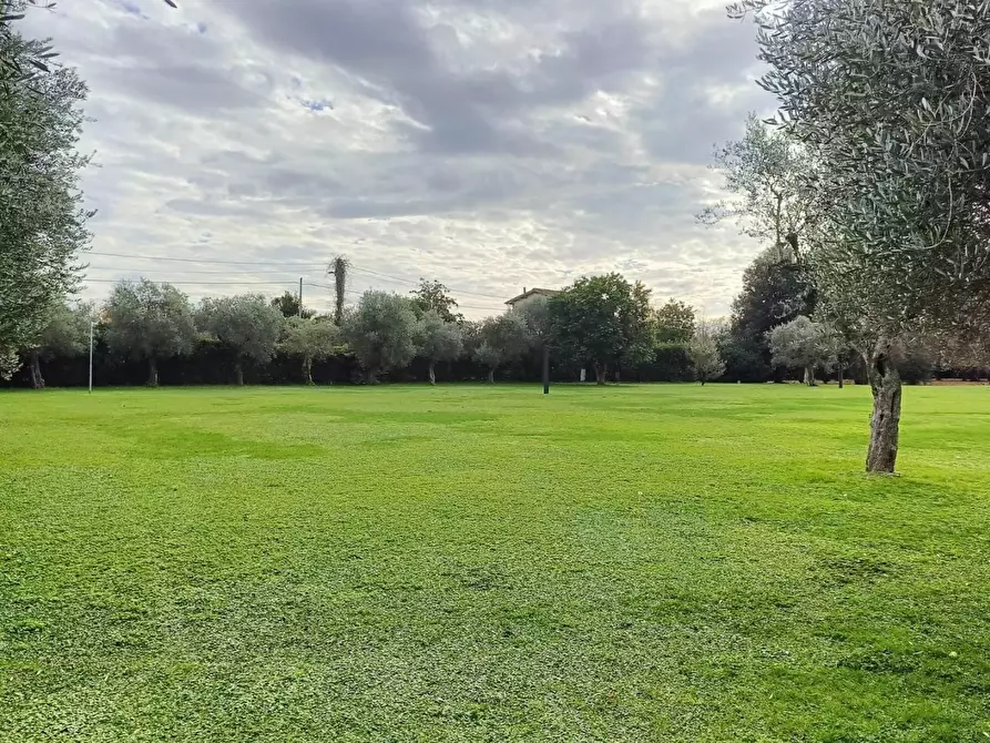 Immagine 11 di Villa in vendita  a Pietrasanta