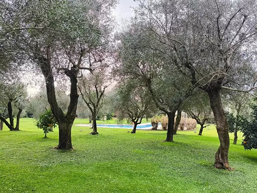 Immagine 7 di Villa in vendita  a Pietrasanta