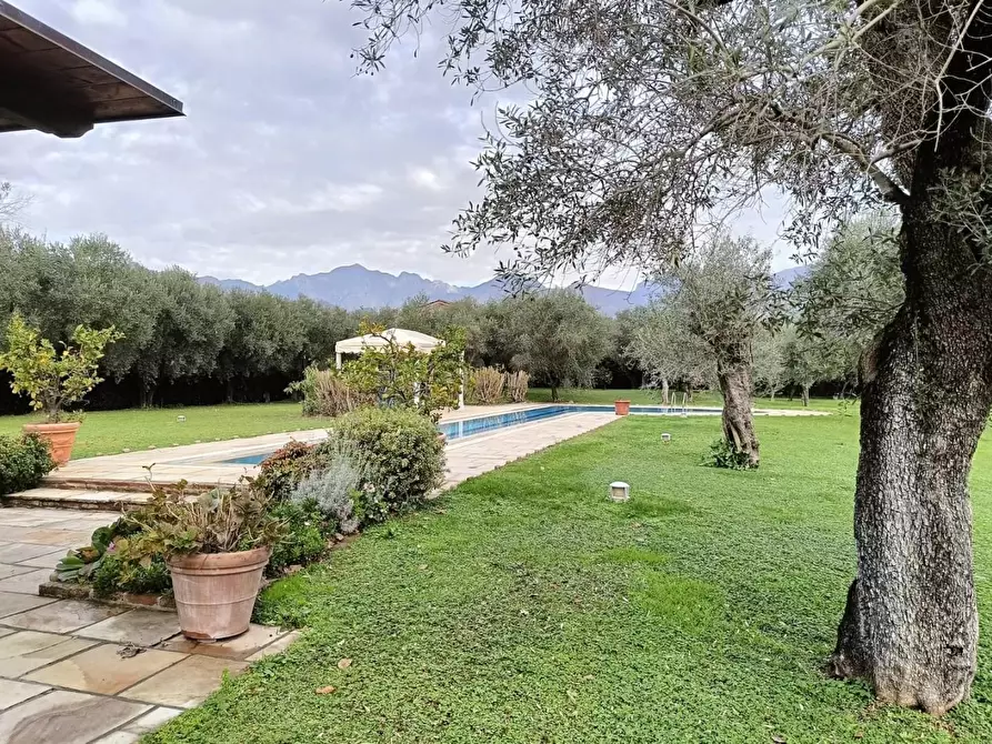Immagine 6 di Villa in vendita  a Pietrasanta