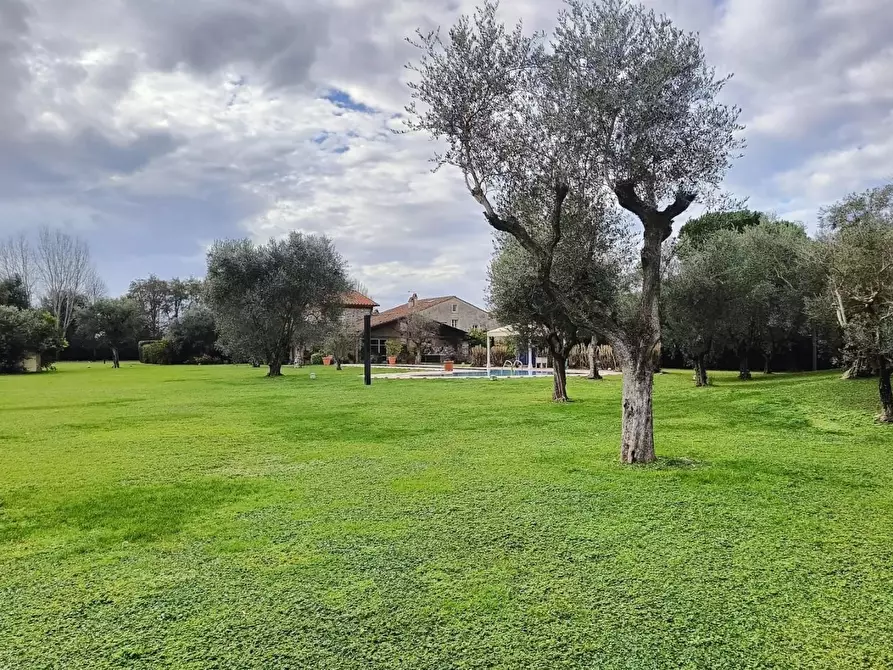 Immagine 8 di Villa in vendita  a Pietrasanta