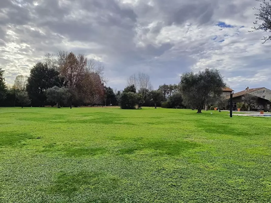 Immagine 13 di Villa in vendita  a Pietrasanta