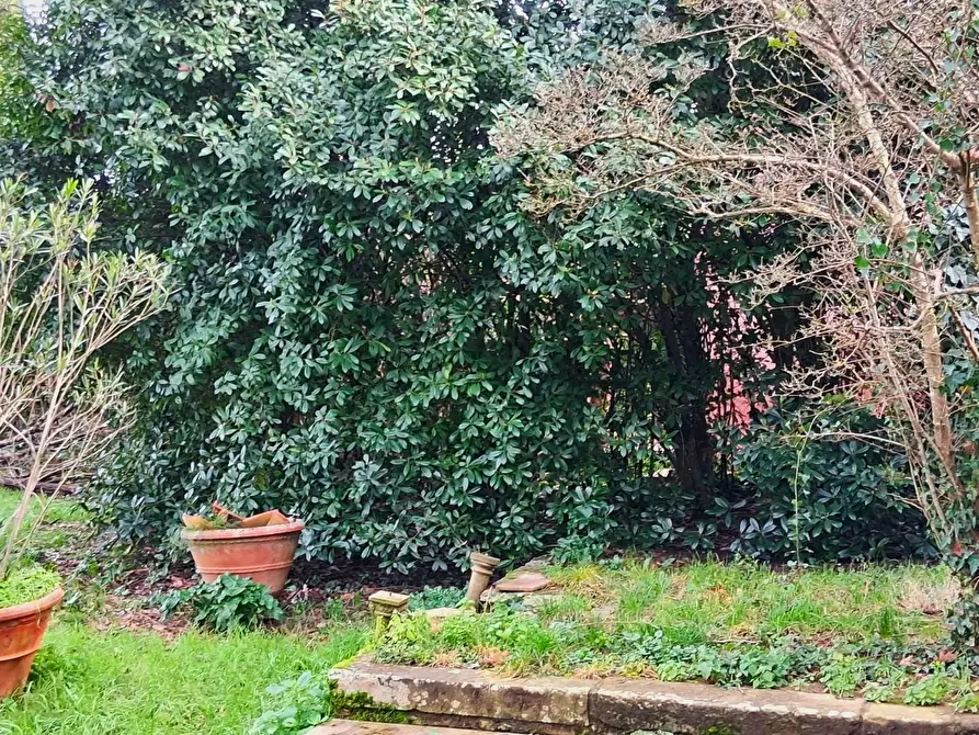 Immagine 32 di Villa in vendita  a Capannori