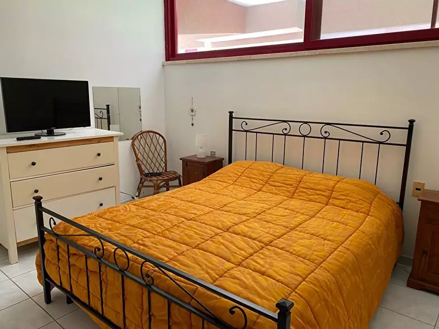 Immagine 12 di Appartamento in vendita  a Bibbona