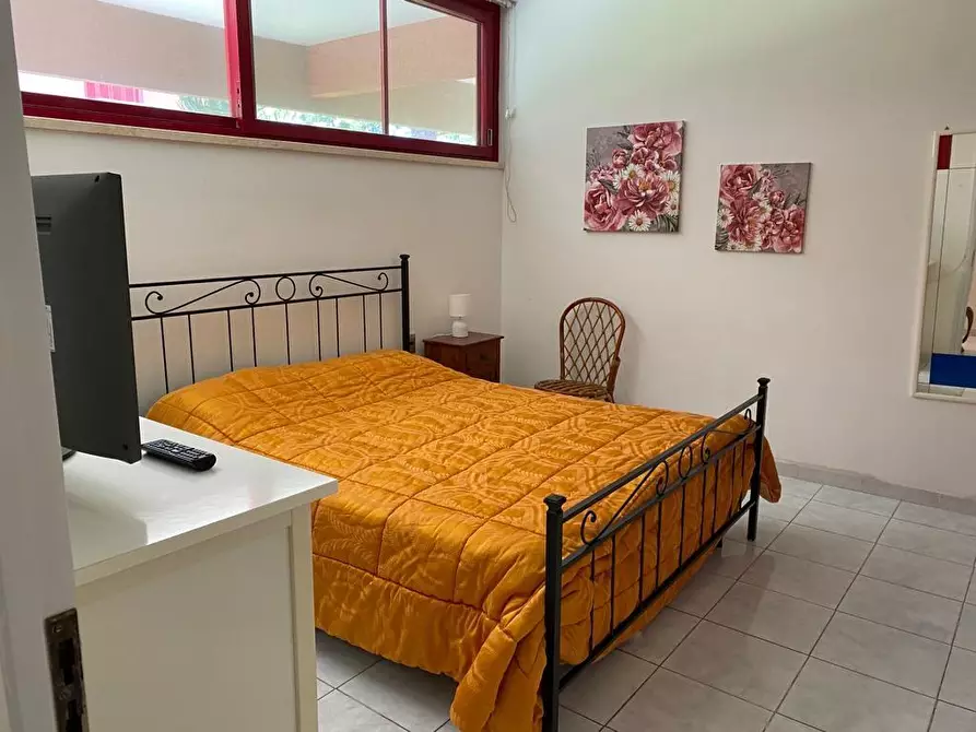 Immagine 14 di Appartamento in vendita  a Bibbona