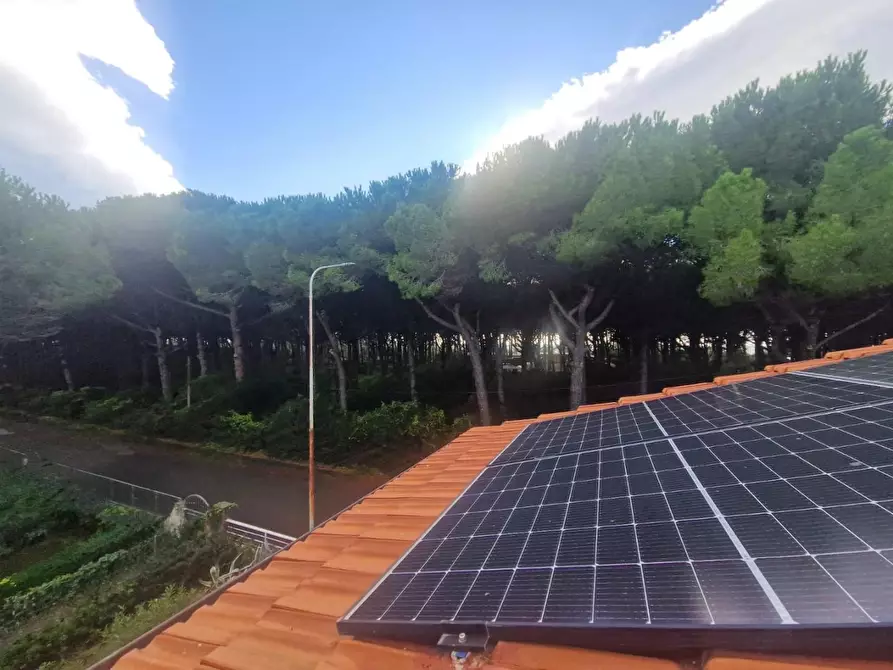 Immagine 29 di Villa in affitto  a Rosignano Marittimo