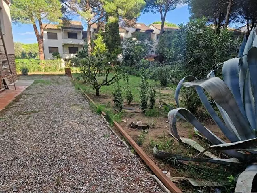Immagine 4 di Villa in affitto  a Rosignano Marittimo